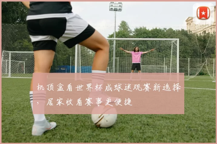 机顶盒看世界杯成球迷观赛新选择，居家收看赛事更便捷