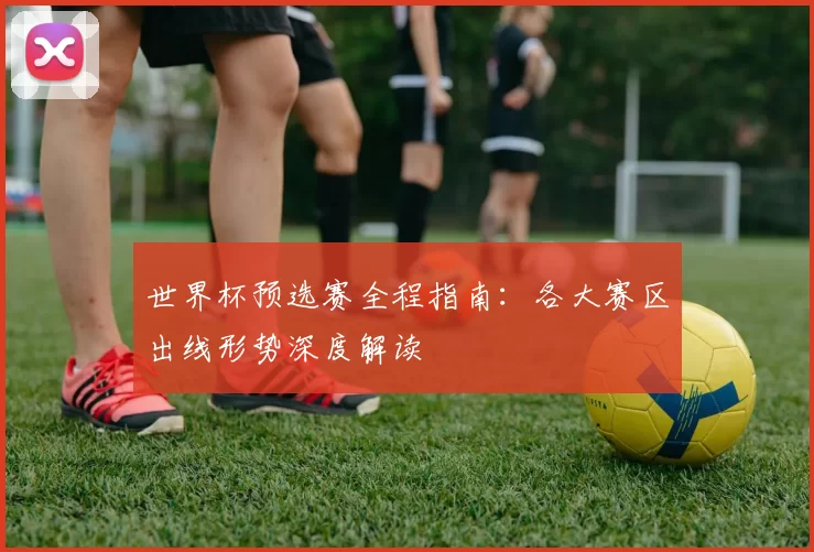 世界杯预选赛全程指南:各大赛区出线形势深度解读