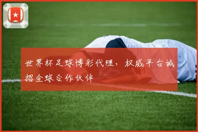 世界杯足球博彩代理,权威平台诚招全球合作伙伴