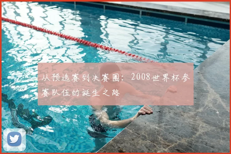 从预选赛到决赛圈：2008世界杯参赛队伍的诞生之路