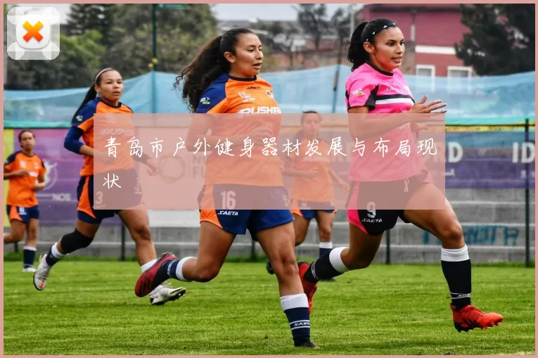 青岛市户外健身器材发展与布局现状