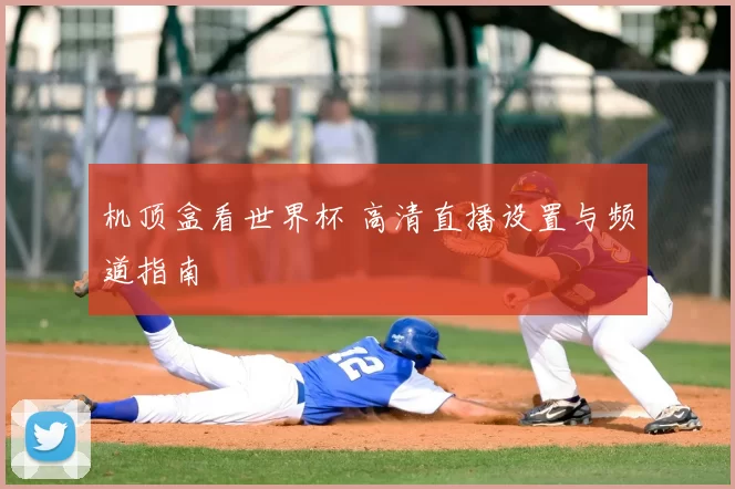 机顶盒看世界杯 高清直播设置与频道指南