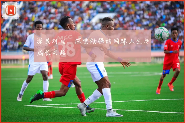 深度对话:探索杨强的网球人生与成长之路