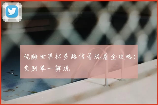 优酷世界杯多路信号观看全攻略：告别单一解说