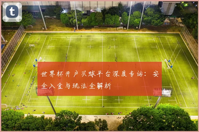 世界杯开户买球平台深度专访:安全入金与玩法全解析