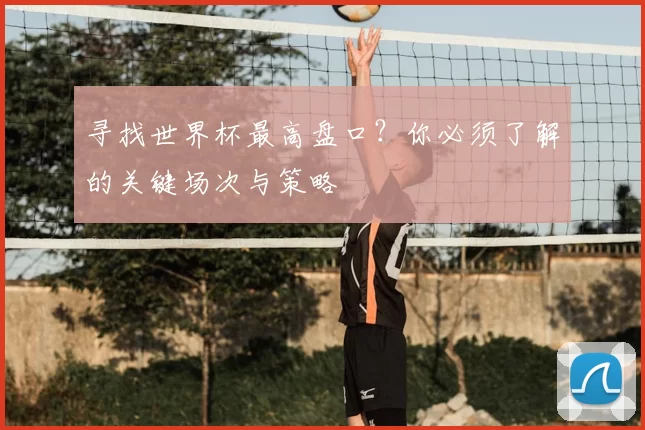 寻找世界杯最高盘口？你必须了解的关键场次与策略