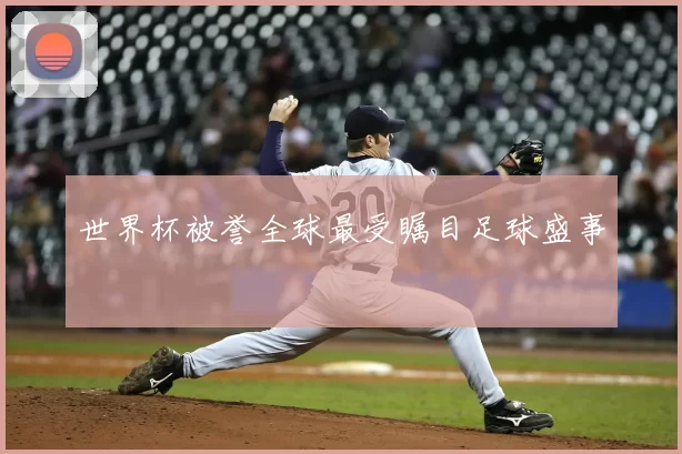 世界杯被誉全球最受瞩目足球盛事