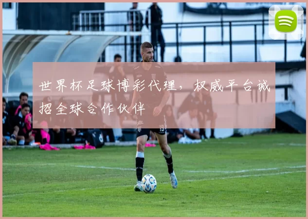 世界杯足球博彩代理,权威平台诚招全球合作伙伴