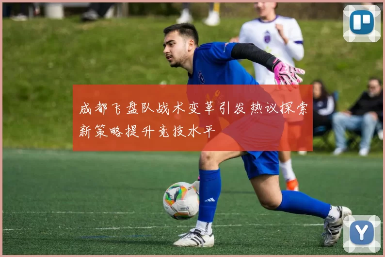 成都飞盘队战术变革引发热议探索新策略提升竞技水平